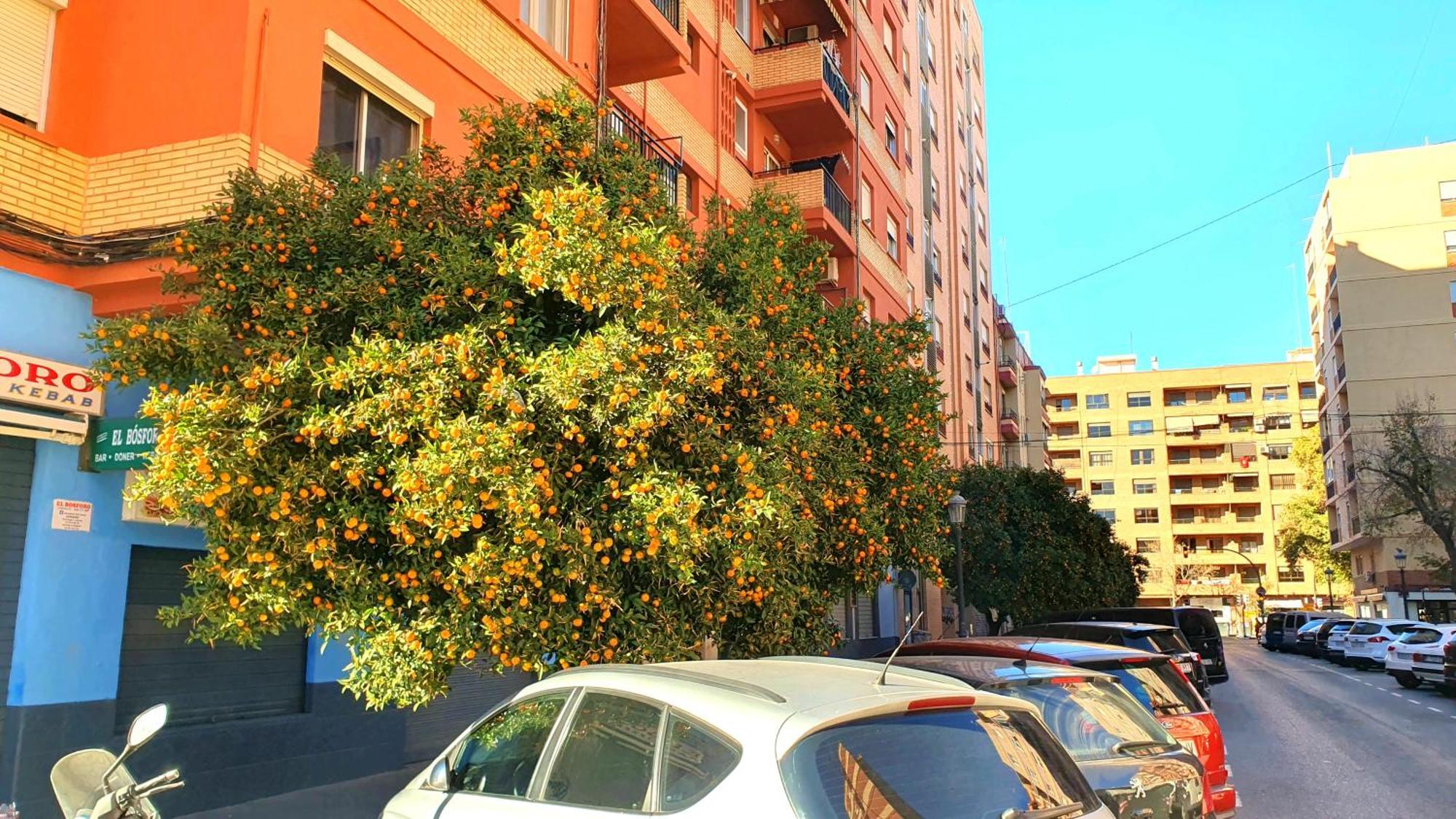 Nuevo Apartamentos Costa Del Alma Βαλένθια Εξωτερικό φωτογραφία